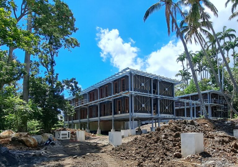 Lire la suite à propos de l’article DEAL et DIECCTE – Le chantier avance !